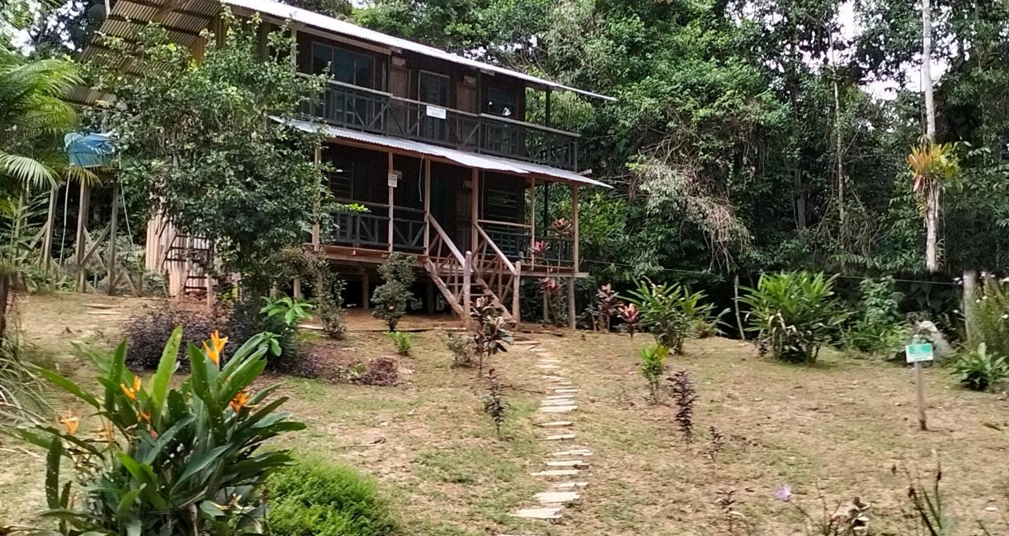 Cabanas Eco Logicas Mu'Ue Loreto Mocagua Ngoại thất bức ảnh